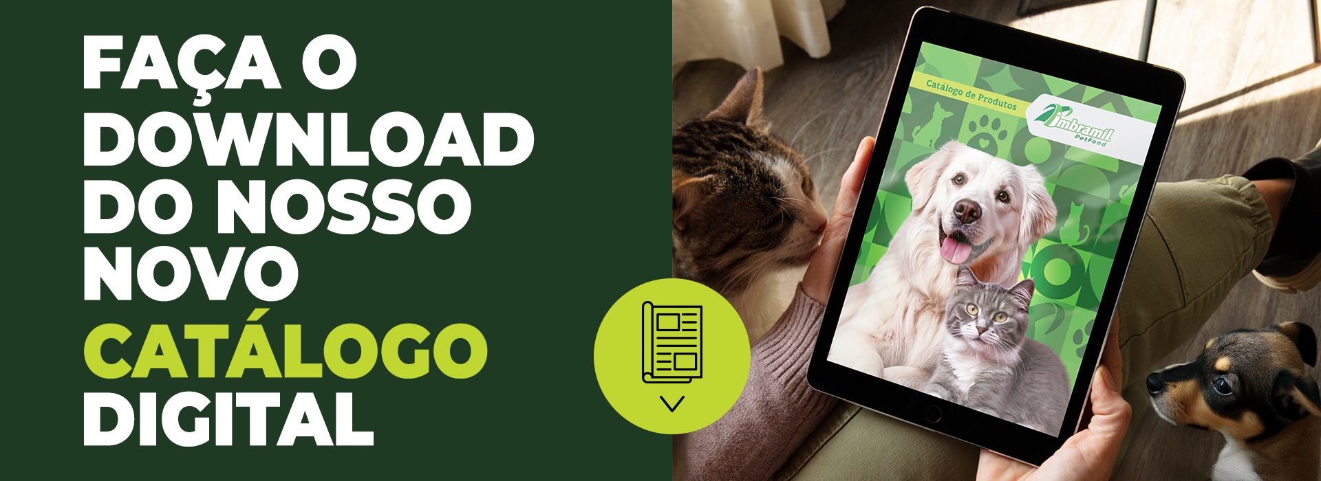 Catálogo 2025